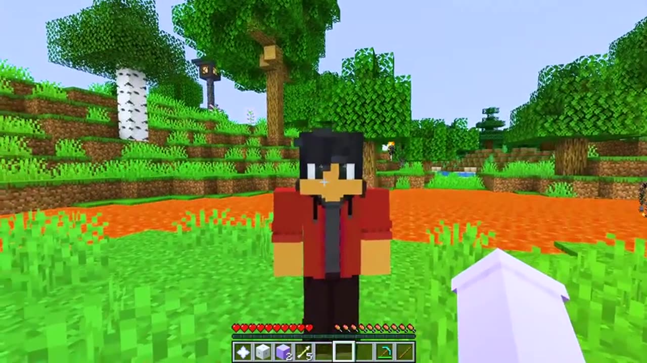 Meet My BOYFRIEND in Minecraft!...