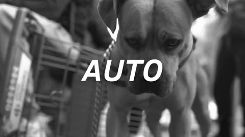 Sch x Zkr x Lesram Type Beat AUTO Instru OldSchoolFreestyle Instru Rap 2022