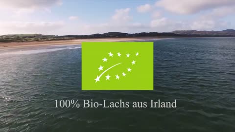 Irish Organic Salmon Video 20 second