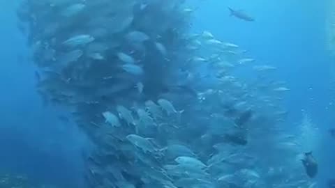 Never Coming Back Moment #shorts #viral #shortsvideo #video