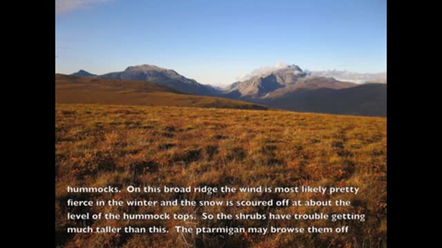 Tundra Landscapes - Gates of the Arctic National Park & Preserve