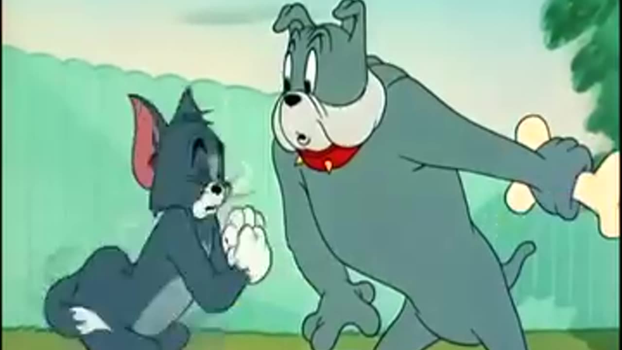 Tom and Jerry