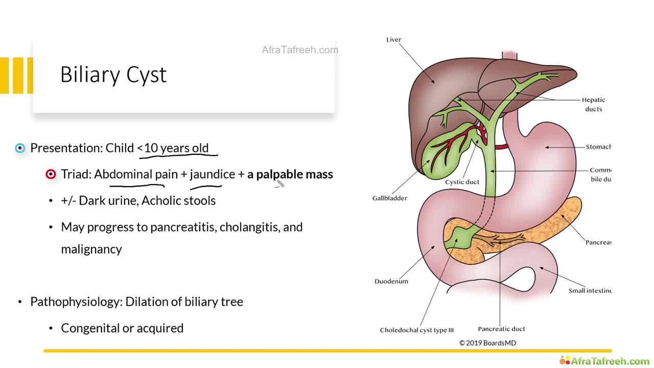 Neonatal Jaundice - Direct