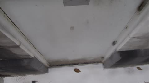 0921USCG00HT18Exterior_2021-01-06_14h40min01s920ms.mp4