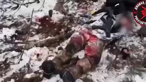 Members of the Ukrainian DRG destroyed by the FSB PS in the Bryansk region on December 19.
