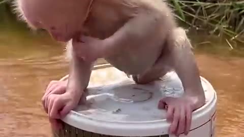 Adorable