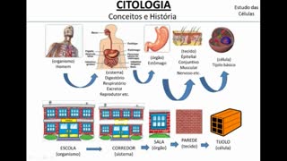 Citologia: Introdução às Células - MinhaEscolaWeb