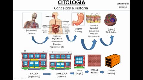 Citologia: Introdução às Células - MinhaEscolaWeb