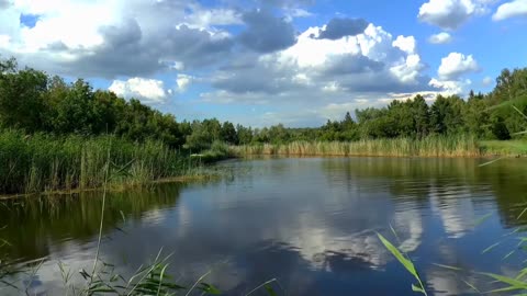 4 MINUTES OF RELAXING AND NATURE VIEW