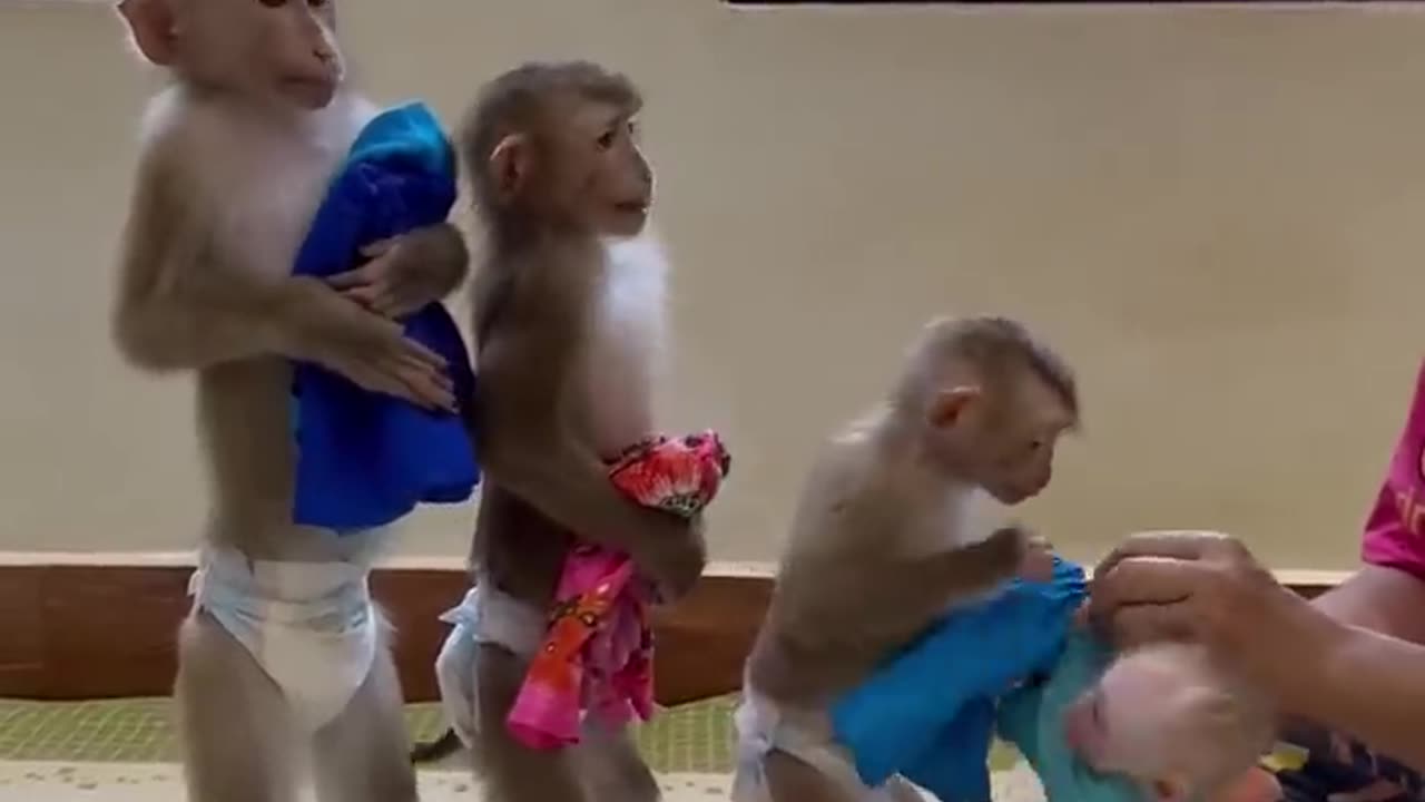 Lovely family 🥰