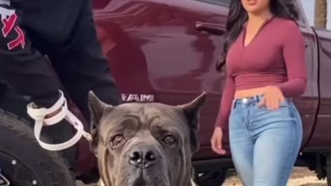 Cute girl talking to her pet dog 🐕