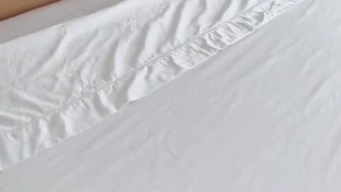 The Sofest Sheets