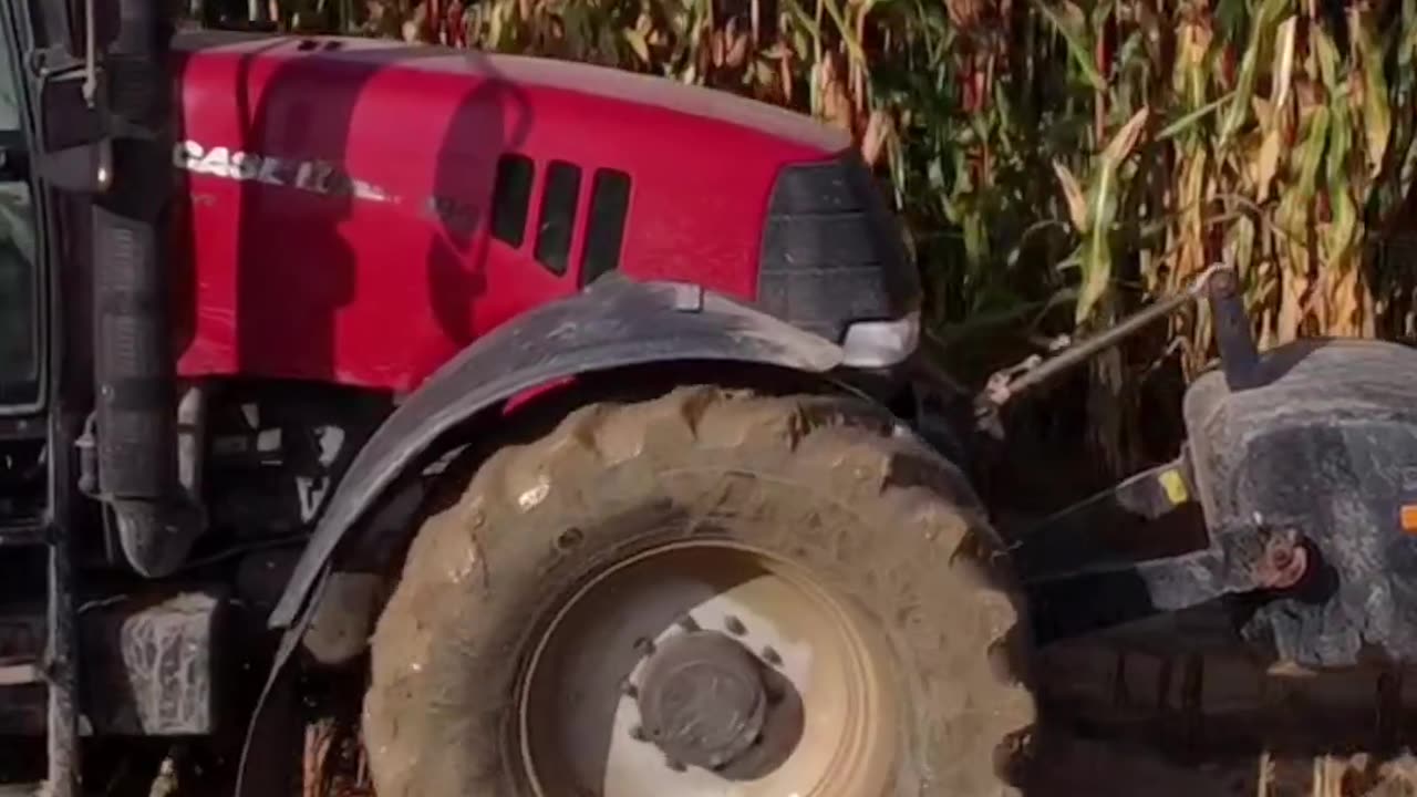 CRC vídeos curiosos