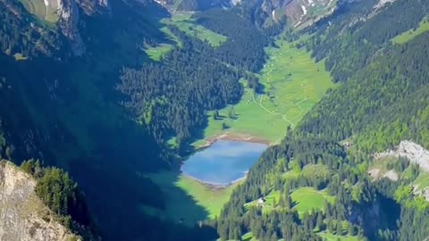 Nature vedio