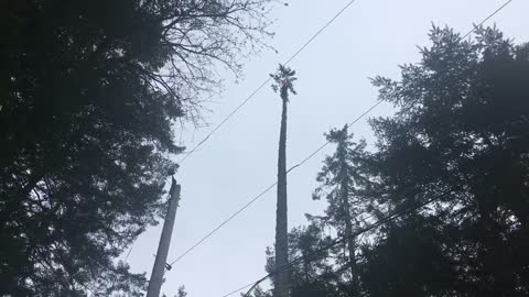 Small top three times the power line height double flip