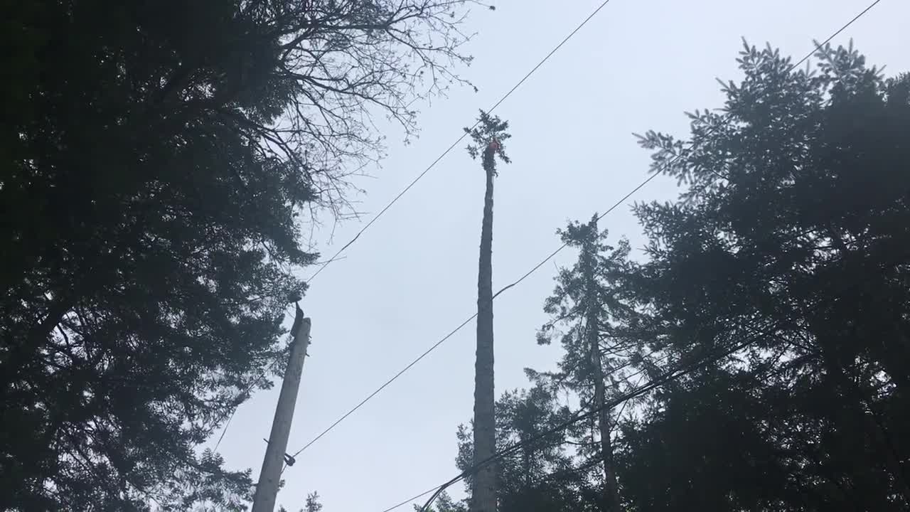 Small top three times the power line height double flip