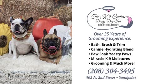 K-9 Couture Doggie Day Spa