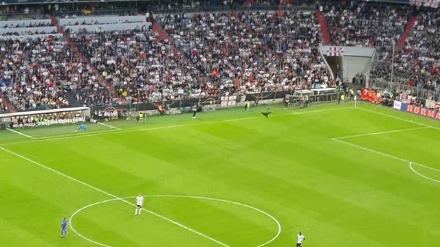 Paper Airplane Takes Flight at Soccer Stadium in Germany