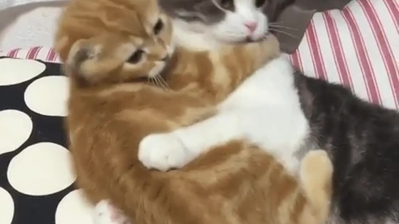 You can't escape my love..!