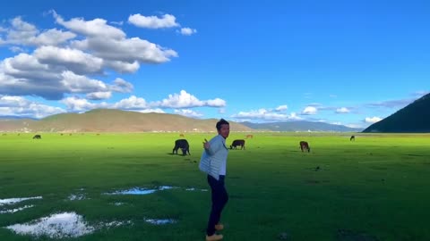 Summer is coming, the grass of Shangri-La grassland is getting greener