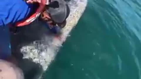 Fisher man captures a what no one should see.