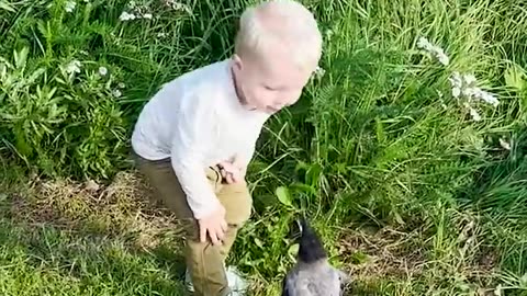 Crow Named Russell Waits For His Favorite Kid To Get Home From School