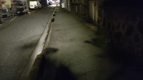 2022-03-13 (7) - je me baladais sur l'avenue - Twitch