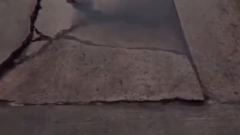 IS THAT SCREAMING 😮‍💨😢😣