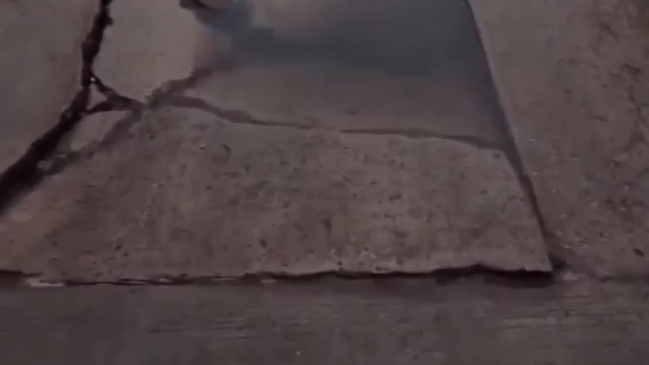 IS THAT SCREAMING 😮‍💨😢😣