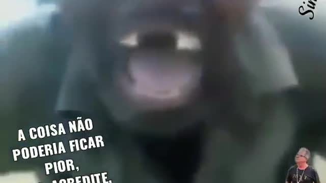 Funny vídeo.