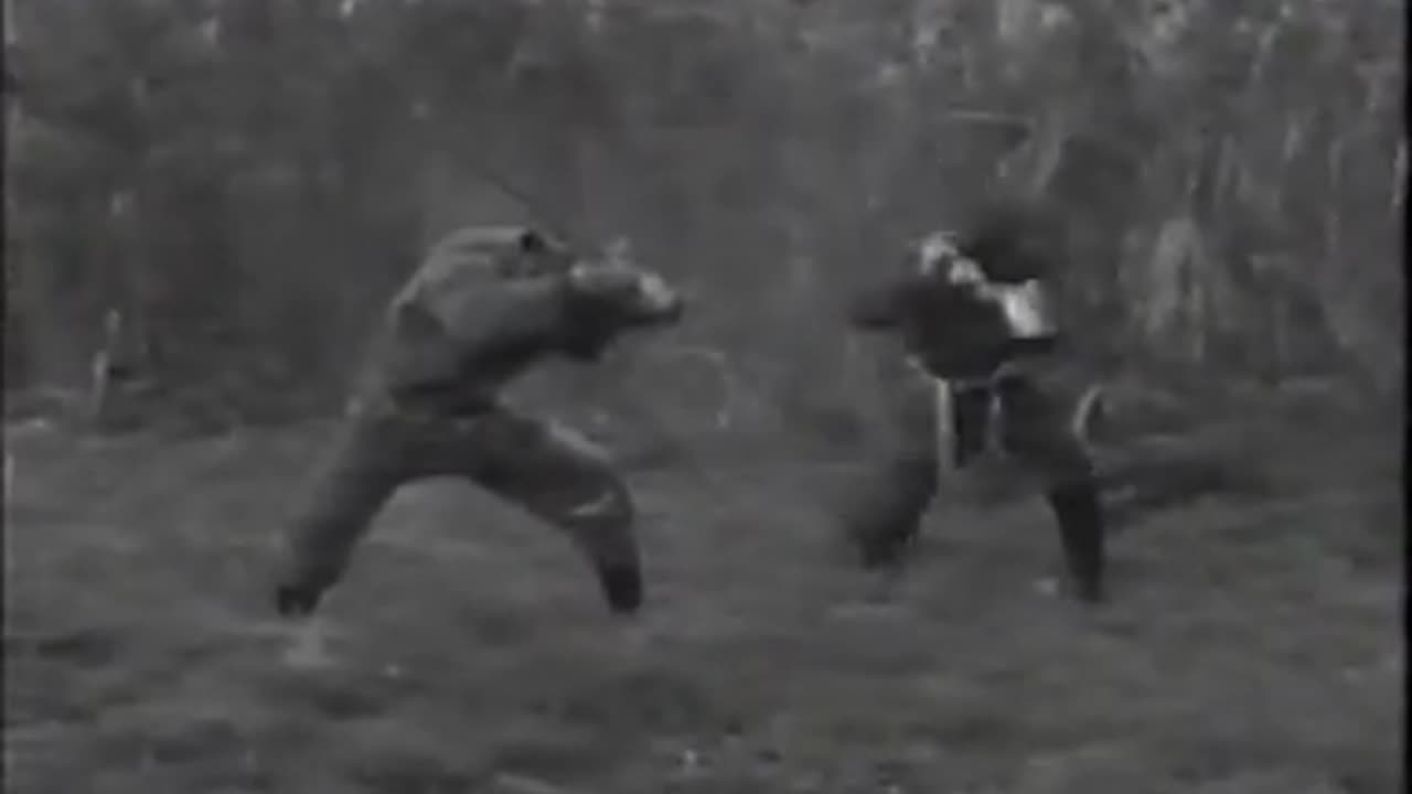 Ninjutsu