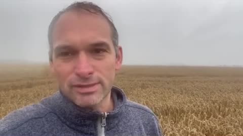 Ernteausfälle durch Regen