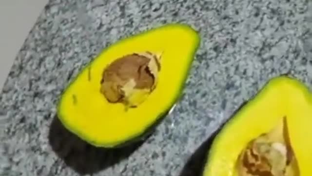 The best avocado in the world