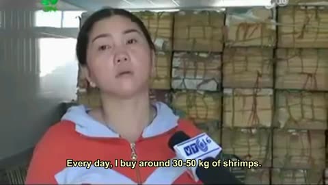 Dirty Secret Of Tiger Shrimp