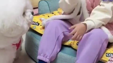 Cute Puppies #dogfriendy #doglovers #puppies #tiktokindia