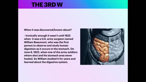 The digestive system (Anatomy review )