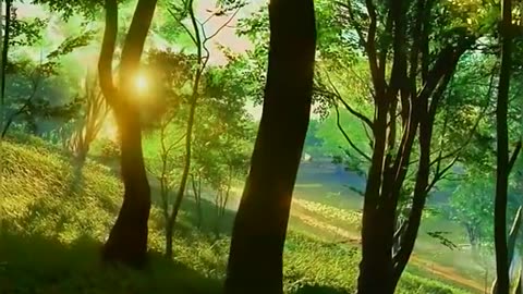 beautifullearthhh 🌍🏕🏞🏝🏜🌹❤