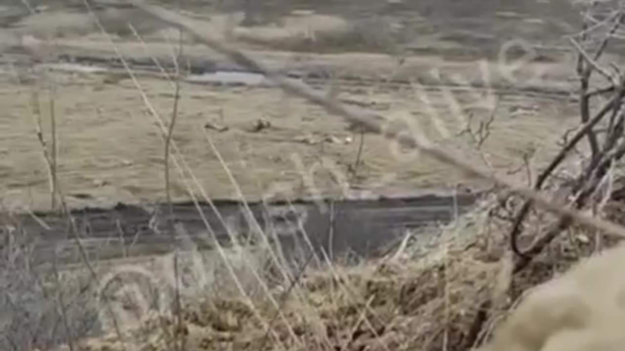 Ukrainian soldiers shoot other Ukrainian just because they were surrendering to Russians