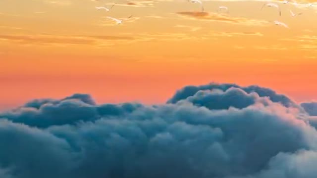 The beauty of the world is linked to you