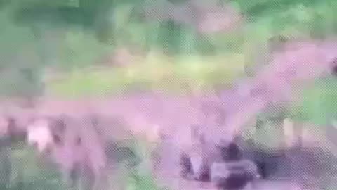 Textbook Destruction of an Armored Russian Convoy