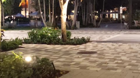 Beautiful walk in sunset time