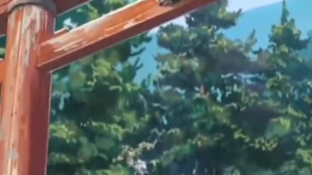 Your name HD clip
