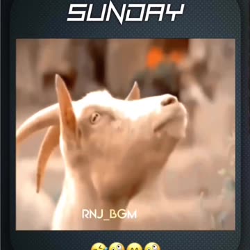 I am busy doing nothing😵‍💫its a sunday