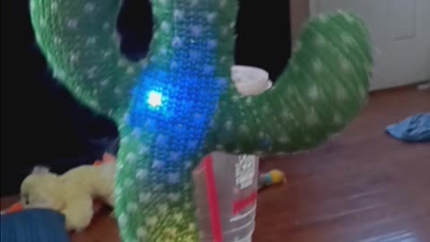 Dancing cactus