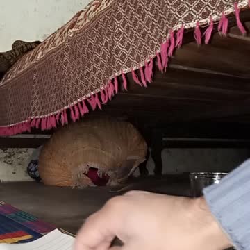 Make pressure with fire, Candal Experiment