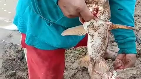 This is a beautiful and charming water-dwelling species