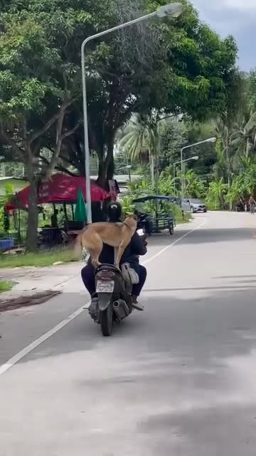 Riding a bike with my dog
