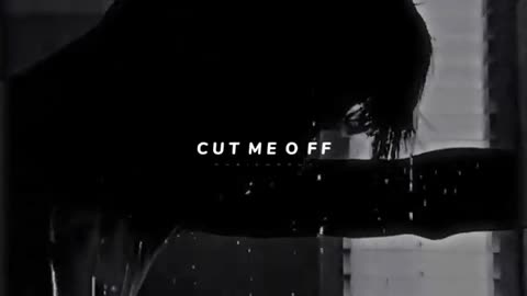 You didn’t have cut me off