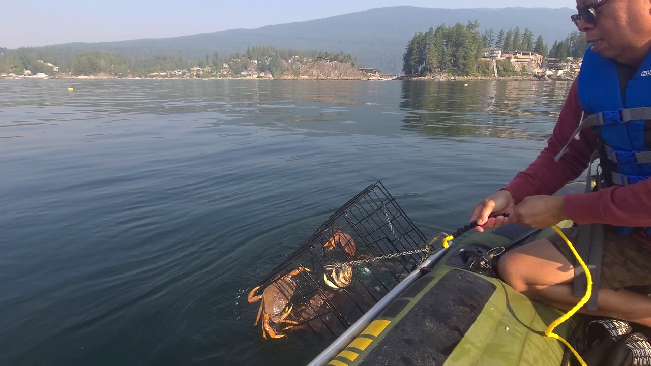 Catching Crabs with Underwater Footage