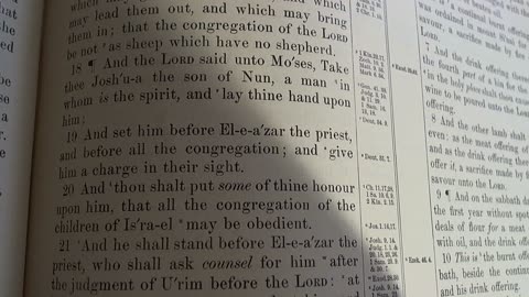 Typology between Joshua and Jesus
